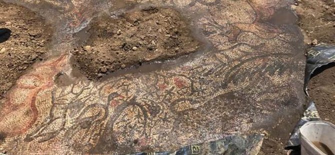 Adıyaman'da tarlada çalışırken 1600 yıllık mozaik buldular!