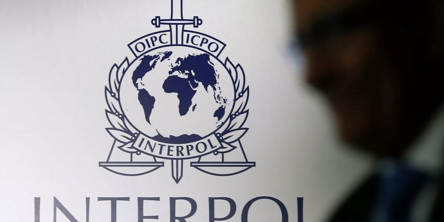 Interpol'e, 'ağır insan hakları ihlalleriyle' suçlanan BAE'li Tümgeneral Reisi başkan seçildi