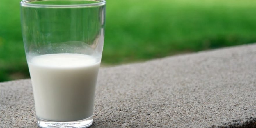 Çiğ süt referans fiyatında 1 lira 50 kuruş artış