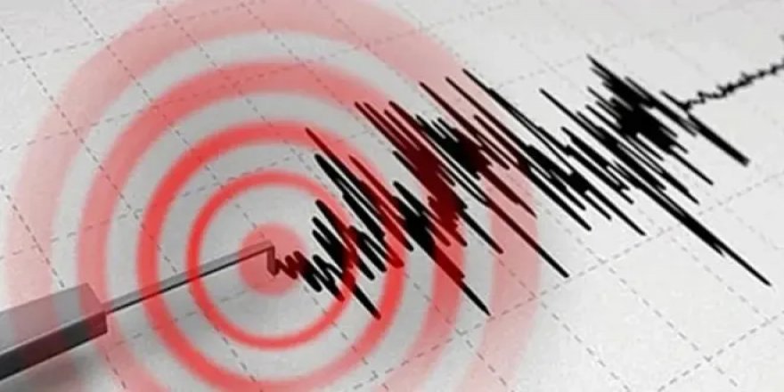 Japonya'da 7.3 büyüklüğünde deprem
