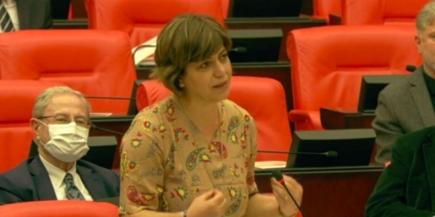 Beştaş, Leyla Güven’in cezaevine alınmayan elbisesini Meclis’te giydi