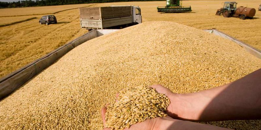 Rusların ele geçirdiği Ukrayna şehrinden Rusya’ya tahıl ‘ihracatı’ başlatıldı