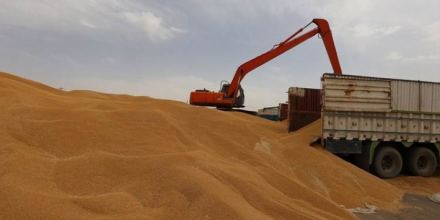 Kürdistan Hükümeti, çiftçilerden şu ana kadar 236 bin tondan fazla buğday satın aldı