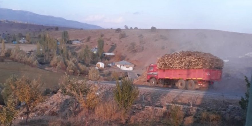 Bingöl’de orman kıyımı devam ediyor: Bölge halkı tepkili