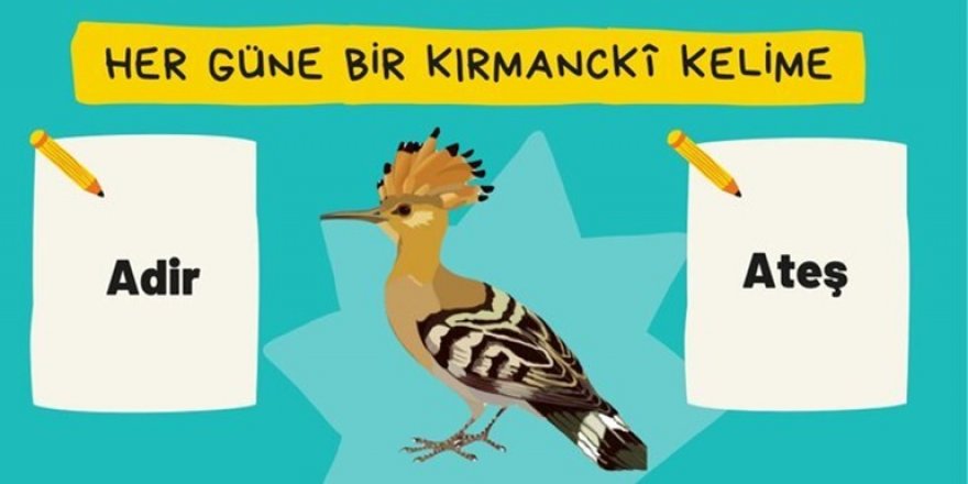 Dersim Araştırmaları Merkezi’nden ‘Her güne bir Kırmancki kelime’ kampanyası