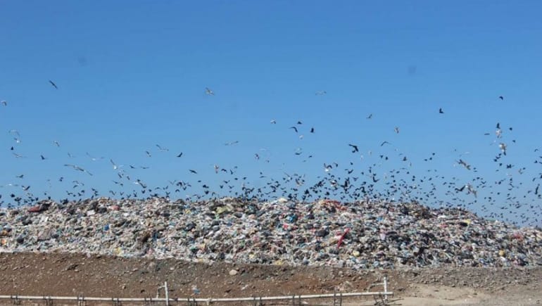 Bingöl’de çöp tesisi hastalık saçıyor