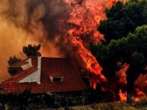 Yunanistan/ Yangın faciasında bilanço artıyor.. Ölü sayısı 74'e yükseldi!