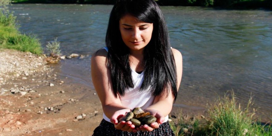 Munzur'un çakıl taşları renkleniyor