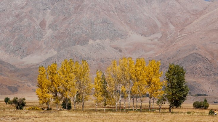 Dersim'den sonbahar renkleri 1