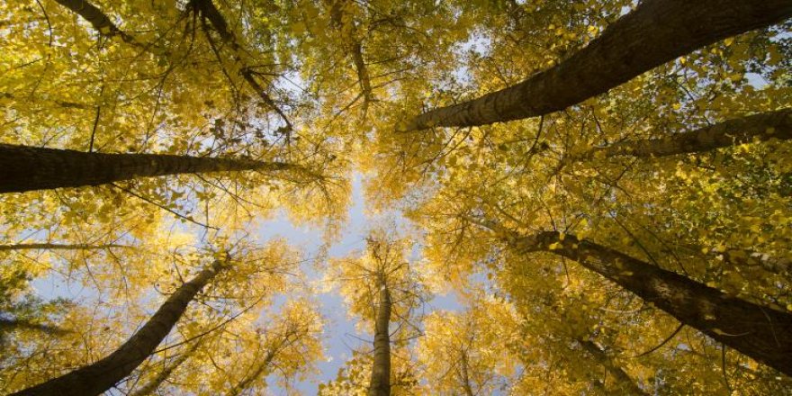 Dersim'den sonbahar renkleri