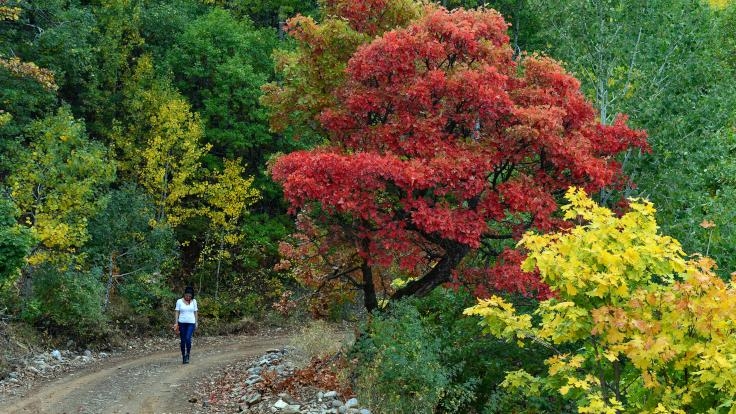 Dersim'e sonbahar geldi 1