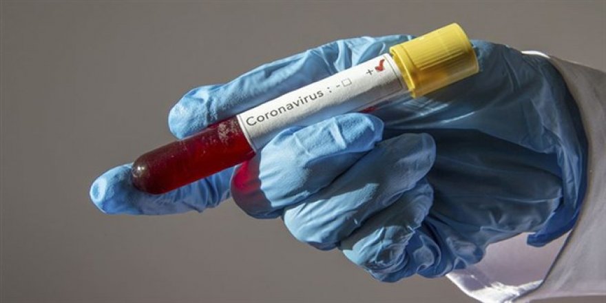 Türkiye: Korona virüs vaka sayısı 5'e çıktı