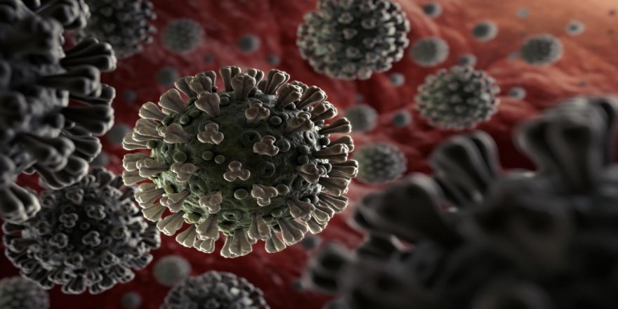 Araştırma: Koronavirüs neden bu kadar hızlı yayıldı? - video