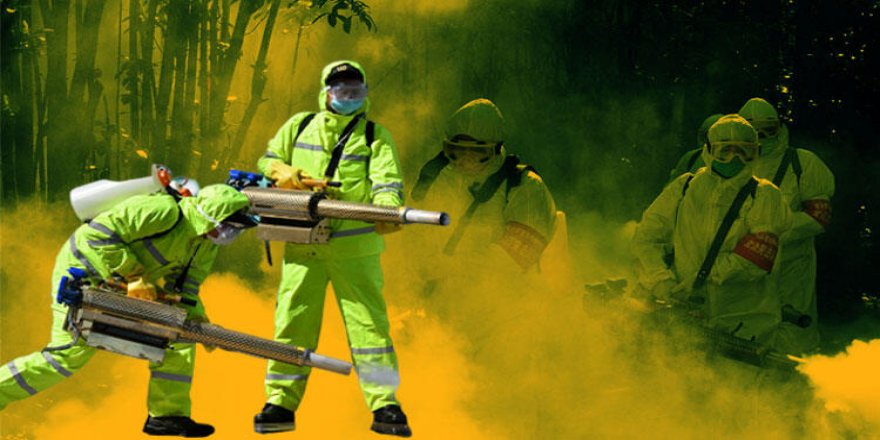 Coronavirüs sonrası dünyayı nasıl bir sistem bekliyor?