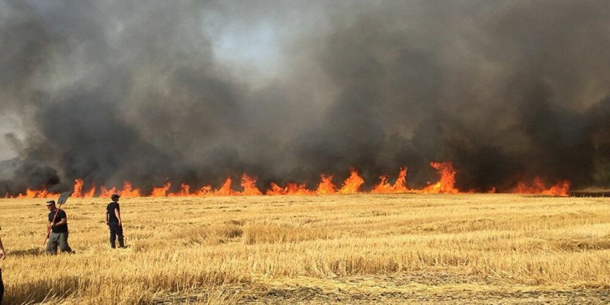 IŞİD tarım arazilerini hedef alıyor