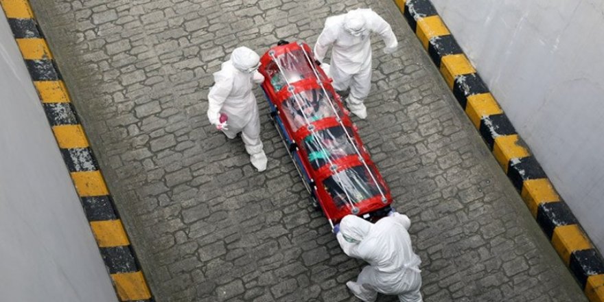 WHO: Kuzey ve Güney Amerika kıtaları salgının merkez üssü haline geldi