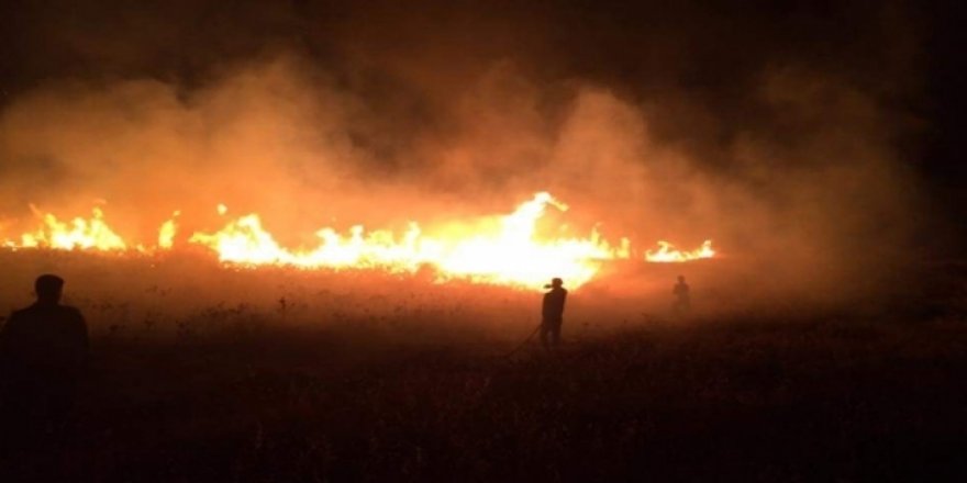 IŞİD, Gulale’da çiftçilerin ekin ve tarlalarını yakıyor