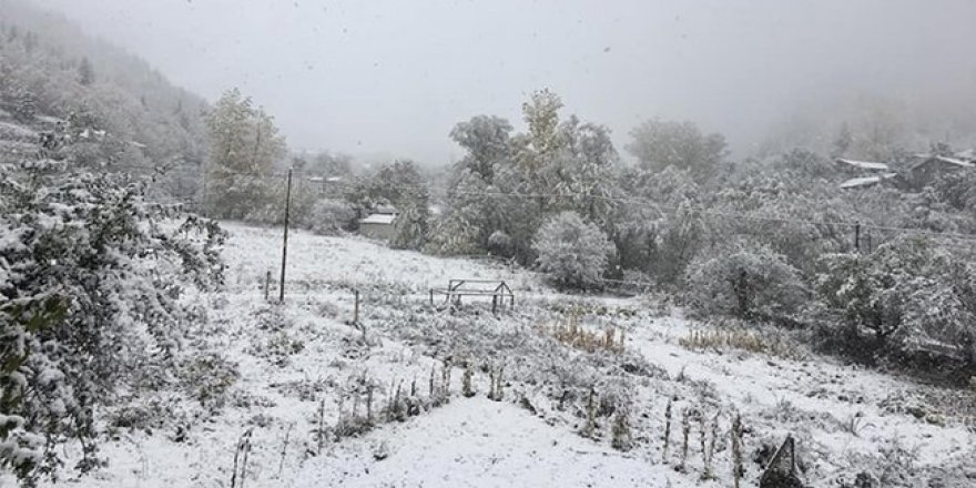 Erzincan'da kar yağışı: Bir çobanın cesedi donmuş halde bulundu