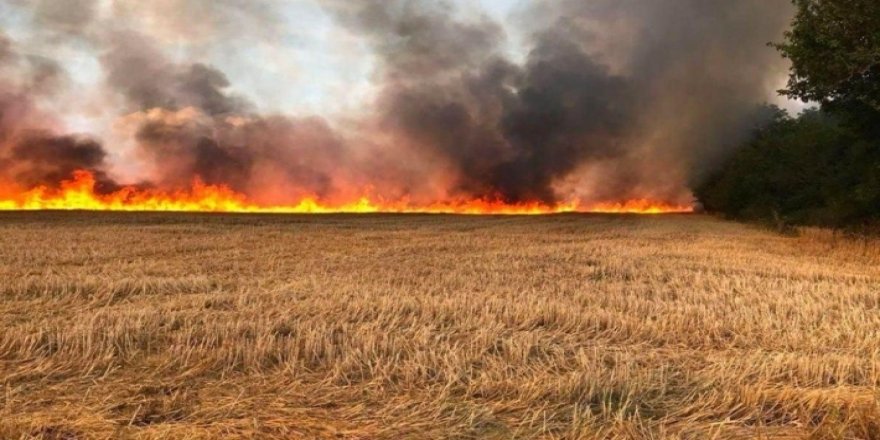 Kerkük’te Kürt çiftçilerin tarlaları ateşe veriliyor