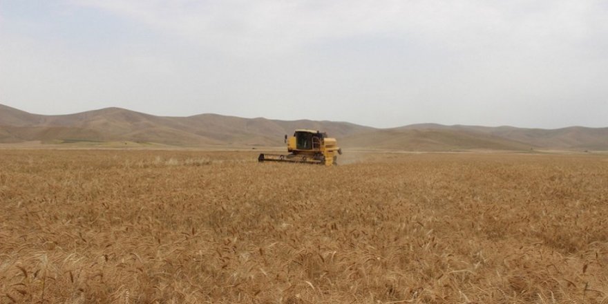 Kerkük’te Araplaştırma projesinde yeni adım
