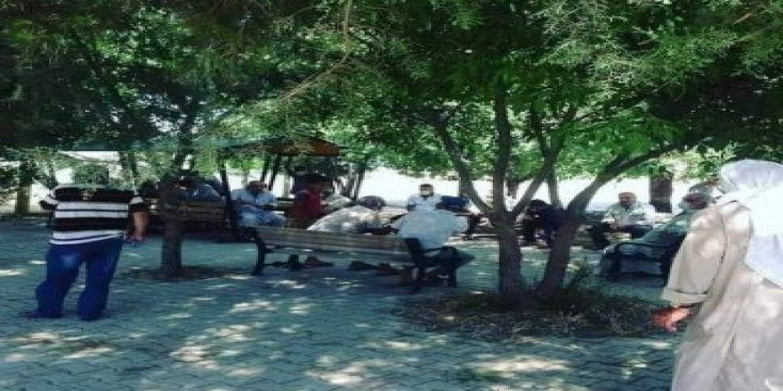 ÇİFTÇİLER TEDAŞA KARŞI AÇLIK GREVİNDE