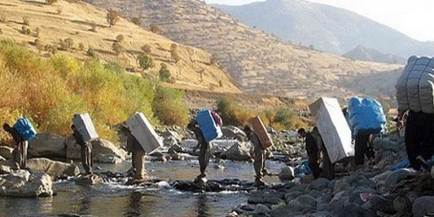 İran güçleri son bir yılda 79 kolberi katletti