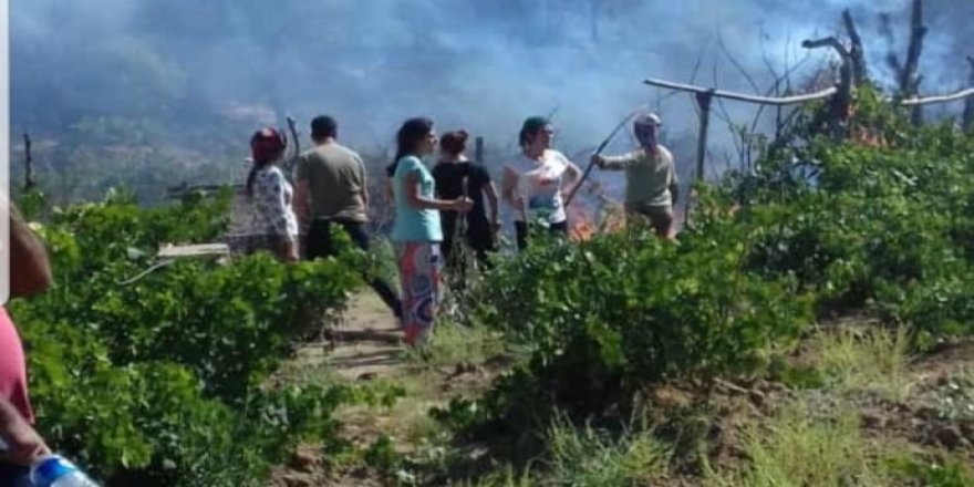 Yangın Lice köylerinin bahçelerine ulaştı.