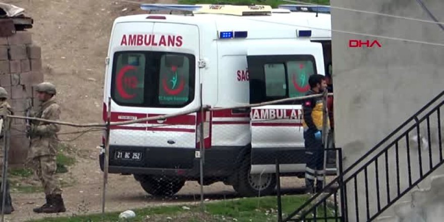 Lice'de arazi kavgası: 7 ölü