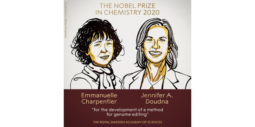 Nobel Kimya Ödülleri iki bilim kadınının oldu