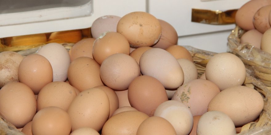 Diyarbakır’da yumurtaya yüzde 50 zam geldi