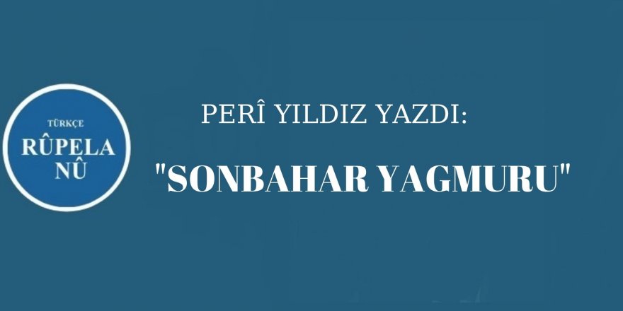 Peri YILDIZ:  Sonbahar Yağmuru