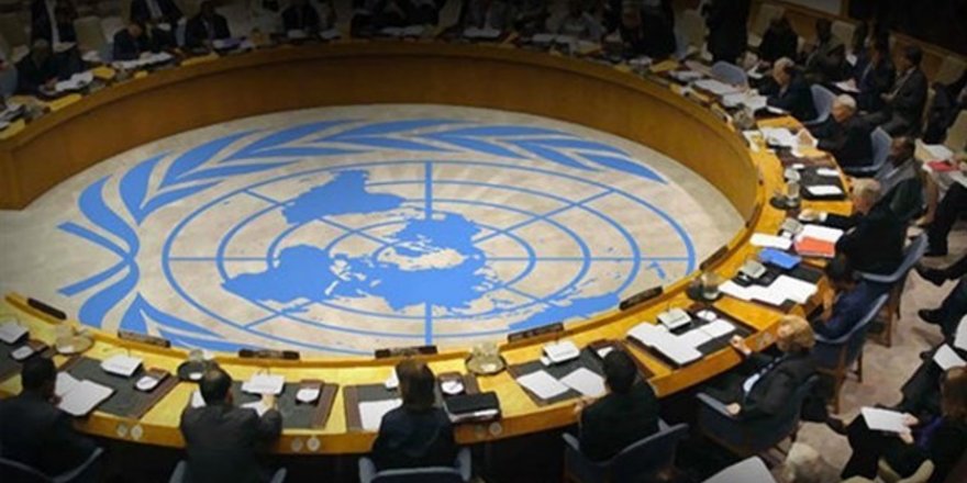 Birleşmiş Milletler 7 ülkenin oy hakkını askıya aldı