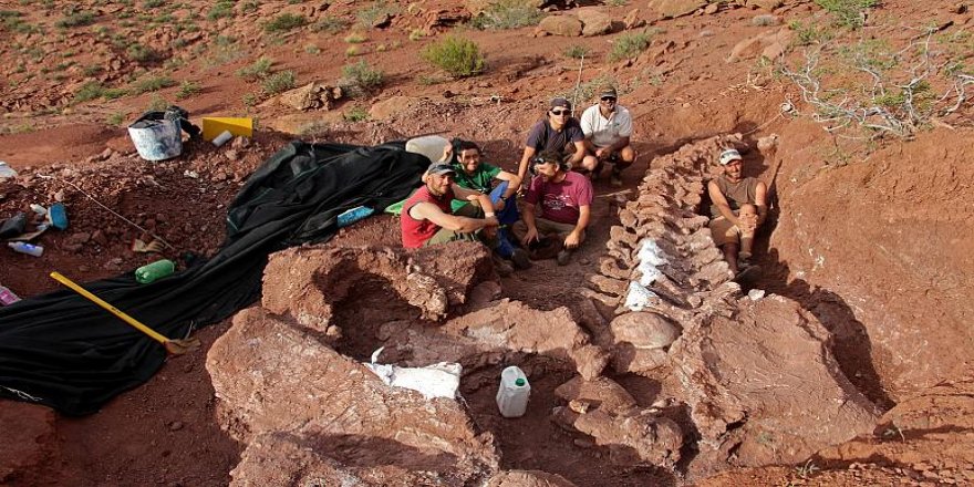 Arjantin'de rekor büyüklükte dinozor fosili keşfedildi