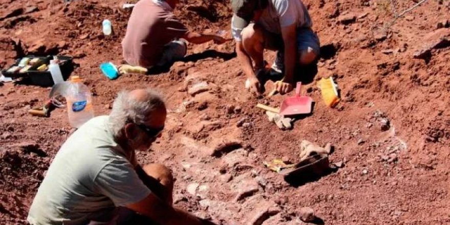 Arjantin'de 140 milyon yıllık titanozor fosili bulundu: Türünün bilinen en eski örneği
