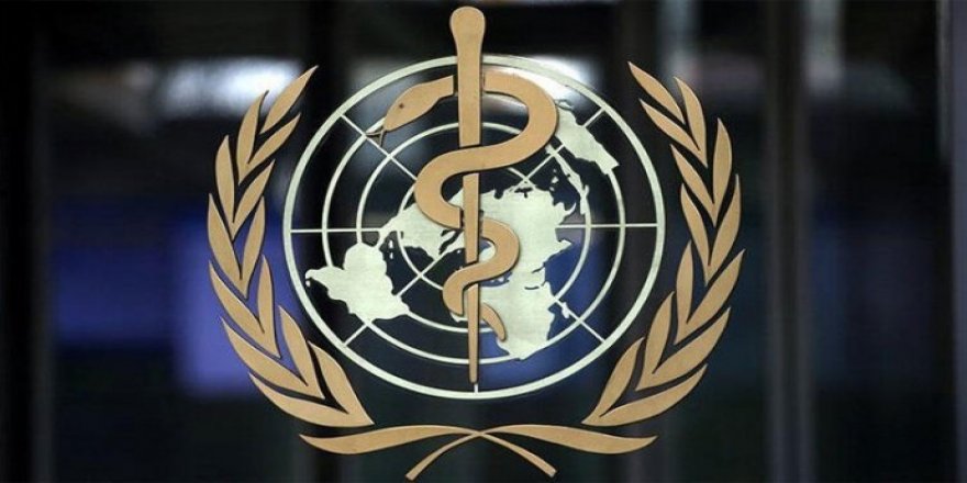 DSÖ: Dünyada her 3 kadından biri fiziksel veya cinsel şiddete maruz kaldı