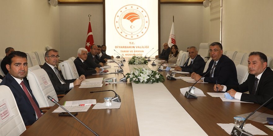 Diyarbakır’ın pamuğu değerlendirildi