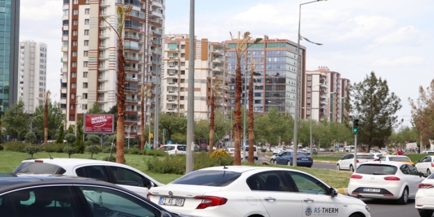 DBB kayyımının diktiği palmiye ağaçları kurudu