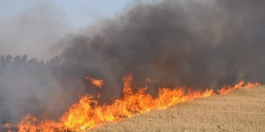 Kerkük'ten Kürtleri göçertme amaçlı ithal Araplar Kürt çiftçilerin ekinlerini yakıyor