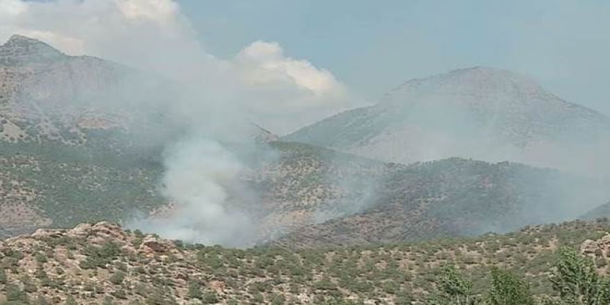 TSK’nın hava saldırıları nedeniyle 4 köyde yangın çıktı