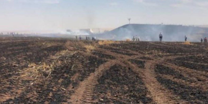 Diyarbakır’da yangın: Yüzlerce dönümlük arazi kül oldu