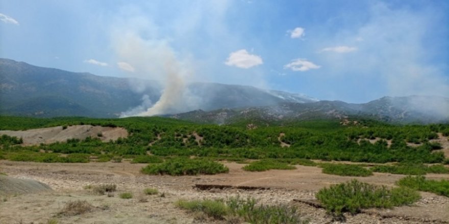 Dicle kırsalında 9 gün önce başlayan yangına müdahale edilmiyor