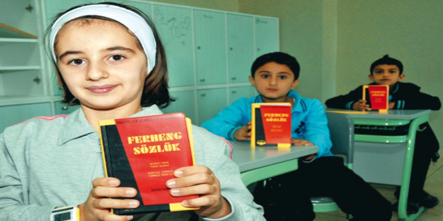 Arat Dink: Anadilinde eğitim pedagojik miymiş!