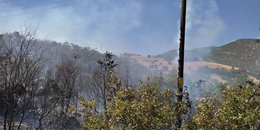 Dersim'de orman yangını