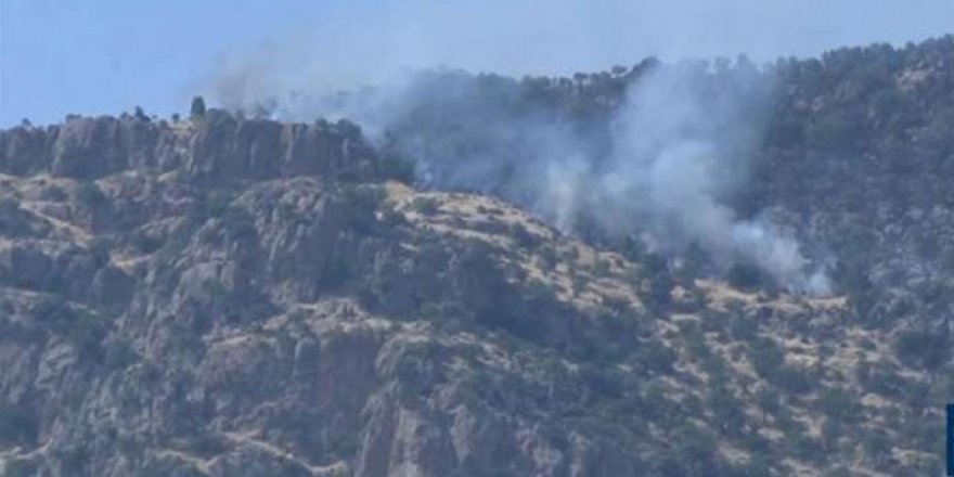 PKK-TSK çatışmaları: Kani Masi’de 15 köyün bağ ve bahçeleri yandı
