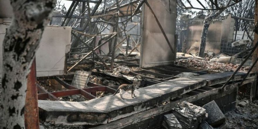 Guardian'dan orman yangınları yorumu: "Türkiye'de hükümete öfke büyüyor"