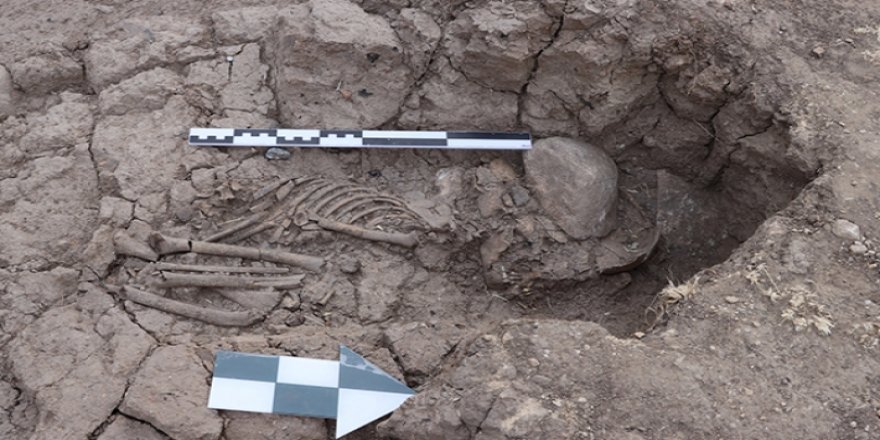 Dersim Tozkoparan Höyüğü'nde 5 bin 500 yıllık çocuk iskeleti bulundu