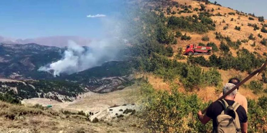 Şemdinli yangını söndürüldü, Hozat yangını devam ediyor