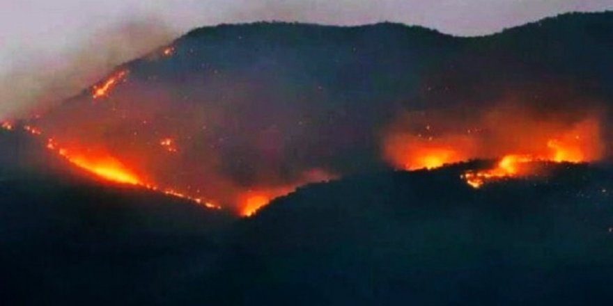 Dersim ve Şırnak'taki orman yangınları için tweet kampanyası