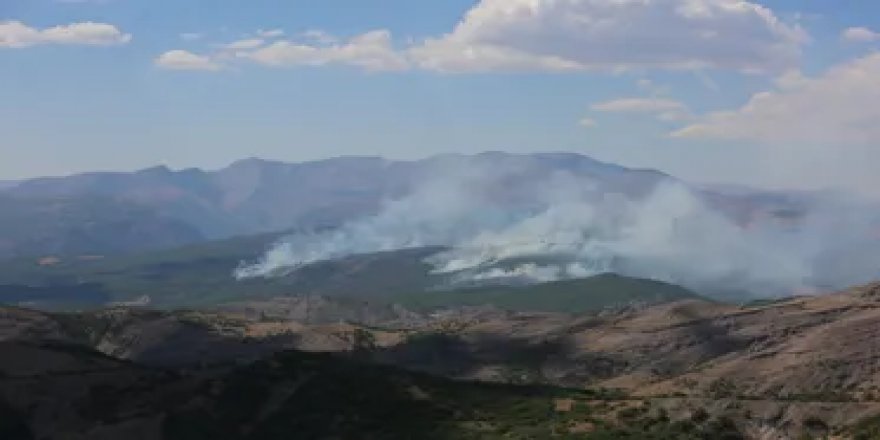 ‘Dersim hala yanıyor! 'Yangına havadan müdahale edilmezse önü alınamaz’