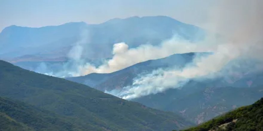 Ovacık Belediye Başkanı Sarıgül: 'Yangın havadan 2-3 saatte söndürülür, ya müdahale ya müsaade etsinler'